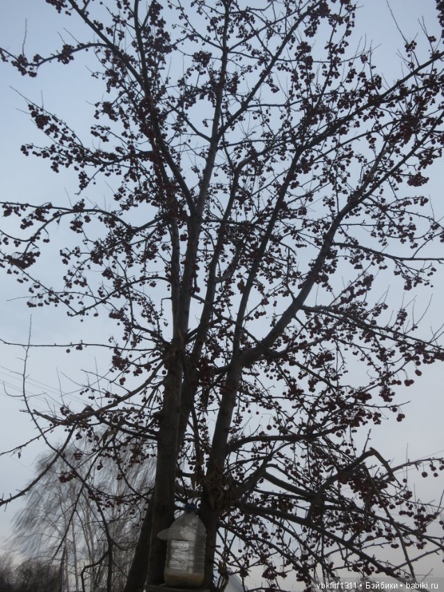 Небольшая прогулка — Антикварные куклы Kestner (Кестнер) JDK: Хильда (фото 5)