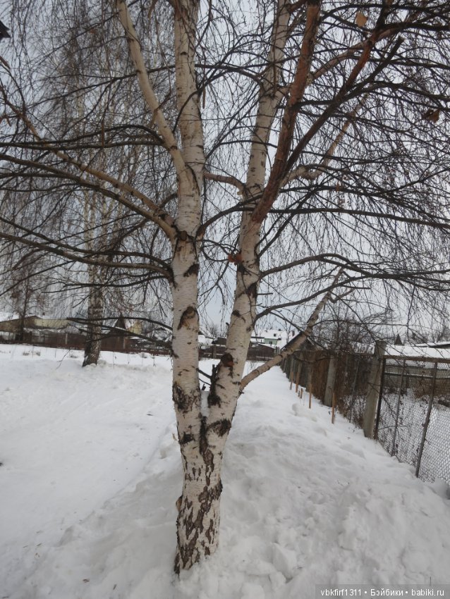 Небольшая прогулка — Антикварные куклы Kestner (Кестнер) JDK: Хильда (фото 3)