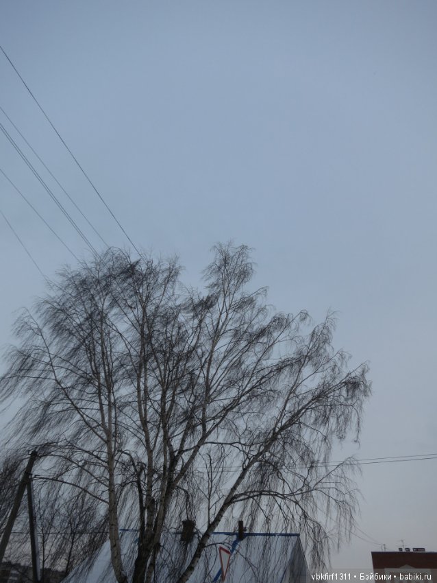 Небольшая прогулка — Антикварные куклы Kestner (Кестнер) JDK: Хильда (фото 4)