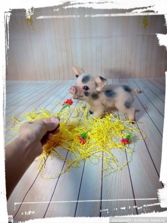 Мой первый поросенок — Валяные игрушки из шерсти: сухое валяние (фото 5)