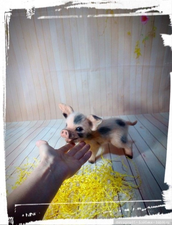 Мой первый поросенок — Валяные игрушки из шерсти: сухое валяние (фото 9)