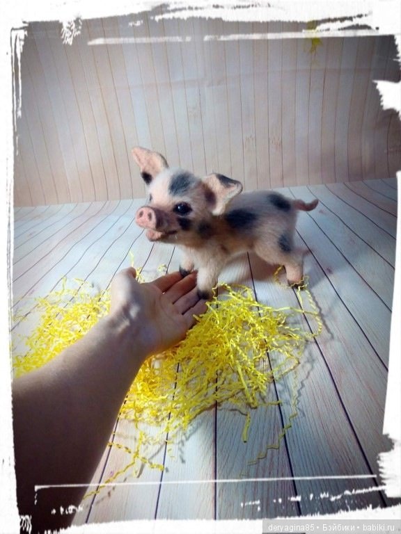 Мой первый поросенок — Валяные игрушки из шерсти: сухое валяние (фото 8)