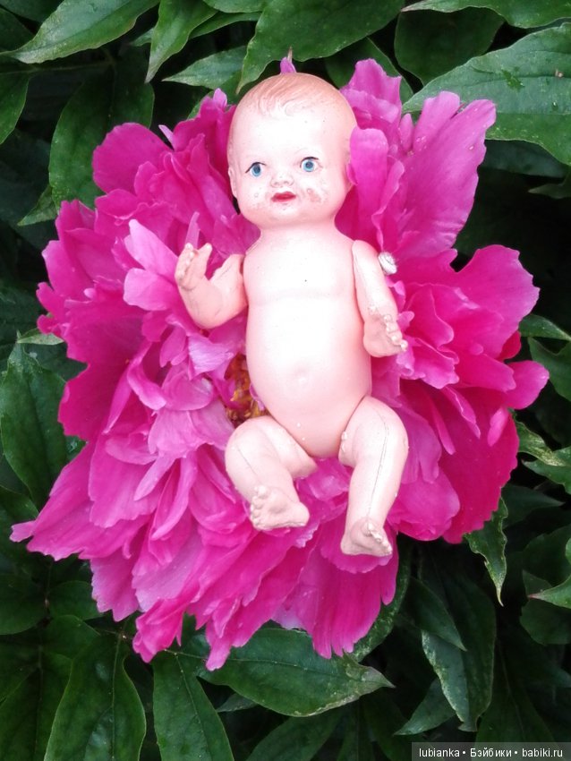 Несколько моих кукольно—цветочных зарисовок (фото 3)