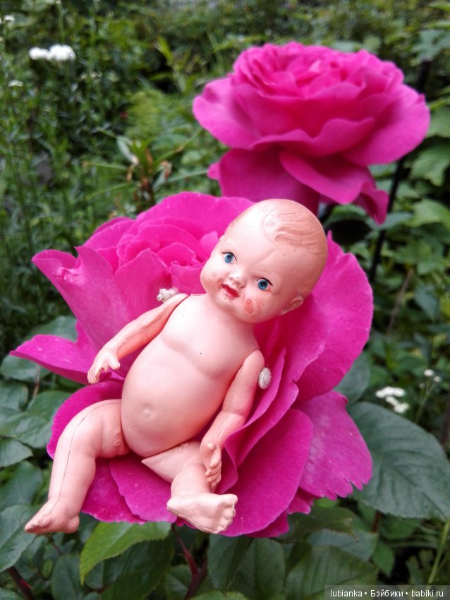 Несколько моих кукольно—цветочных зарисовок