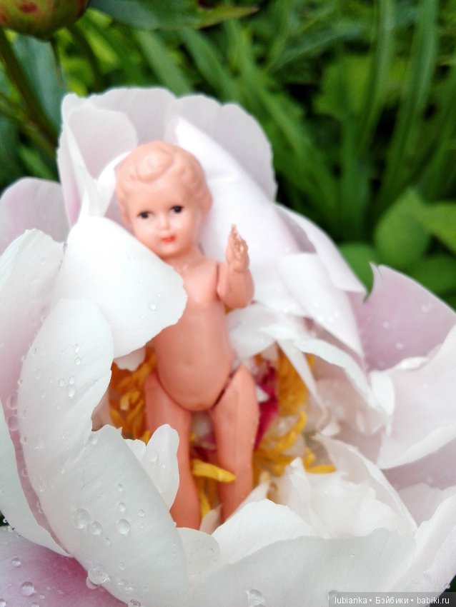 Несколько моих кукольно—цветочных зарисовок (фото 9)