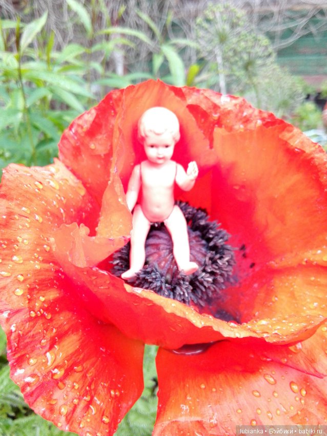 Несколько моих кукольно—цветочных зарисовок