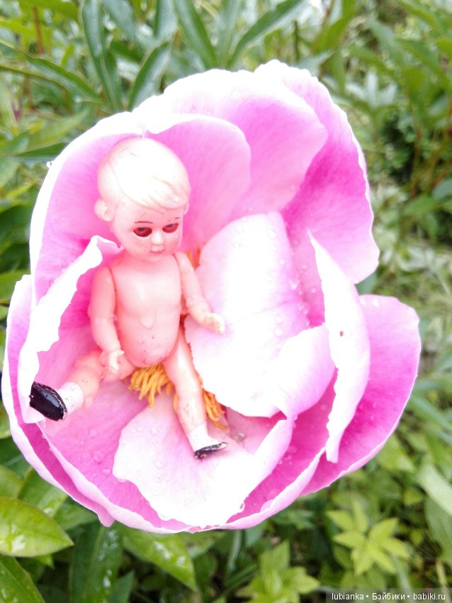 Несколько моих кукольно—цветочных зарисовок (фото 8)