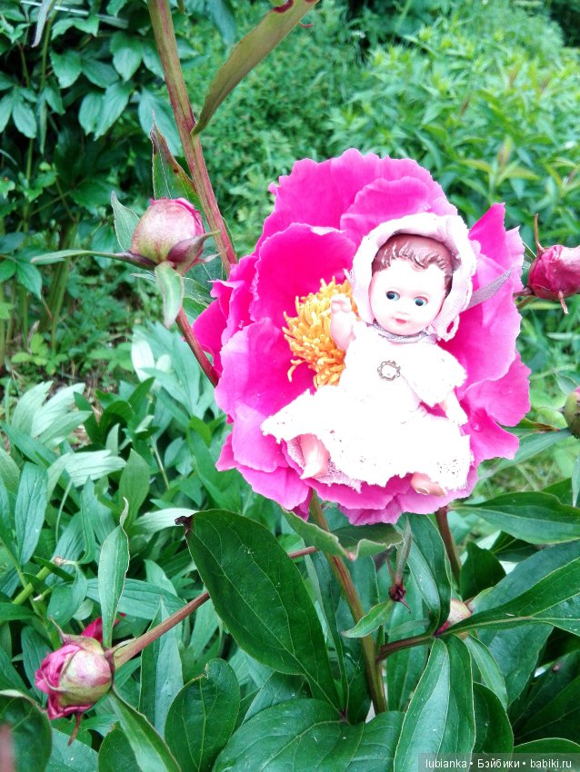 Несколько моих кукольно—цветочных зарисовок