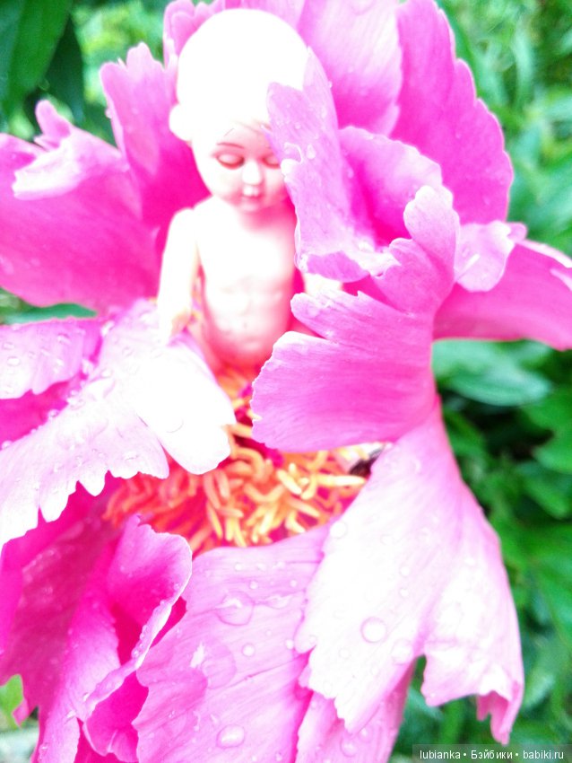 Несколько моих кукольно—цветочных зарисовок (фото 7)