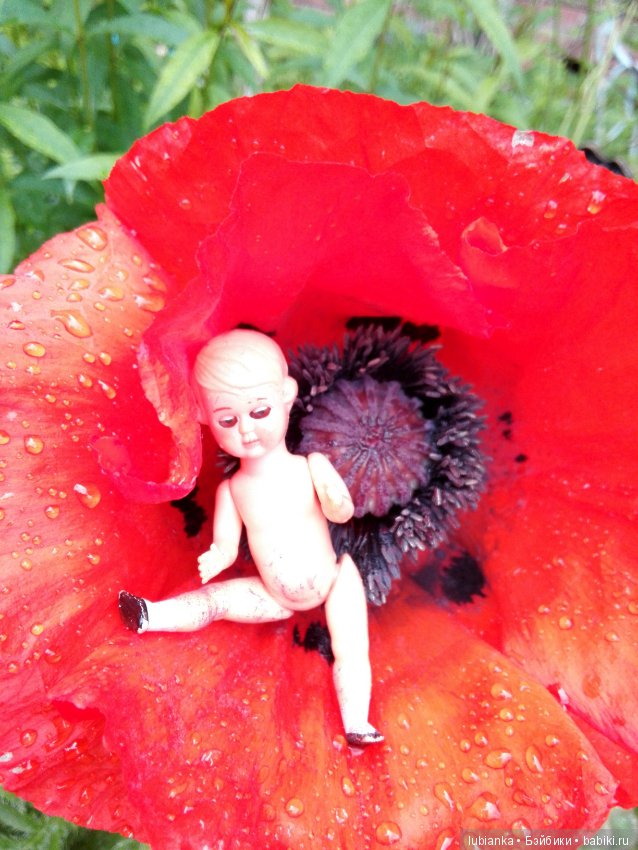 Несколько моих кукольно—цветочных зарисовок