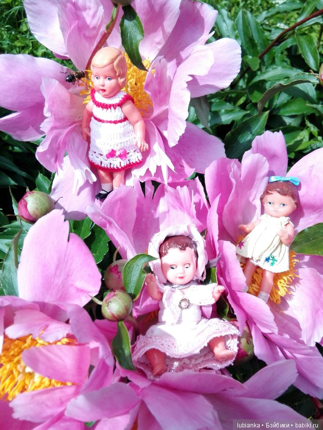 Несколько моих кукольно—цветочных зарисовок