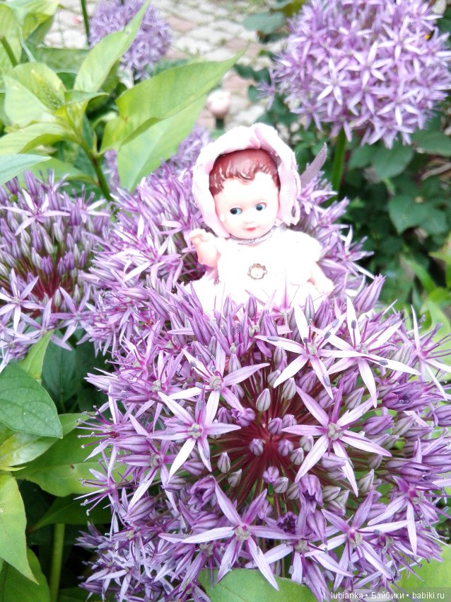 Несколько моих кукольно—цветочных зарисовок