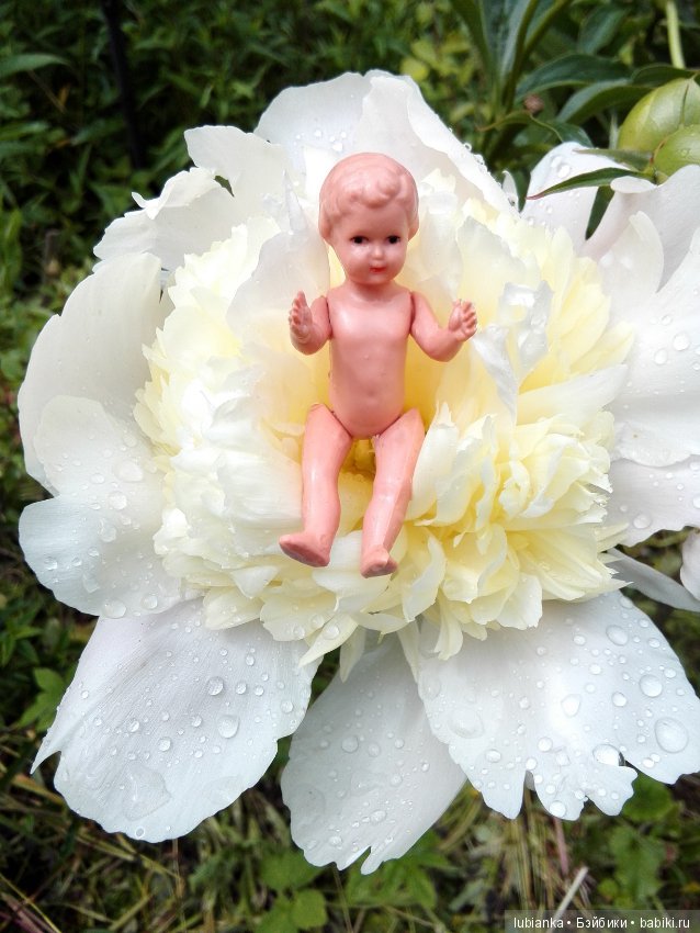 Несколько моих кукольно—цветочных зарисовок (фото 6)