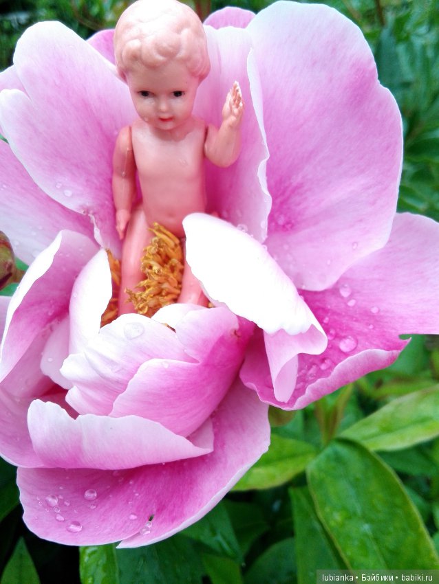 Несколько моих кукольно—цветочных зарисовок