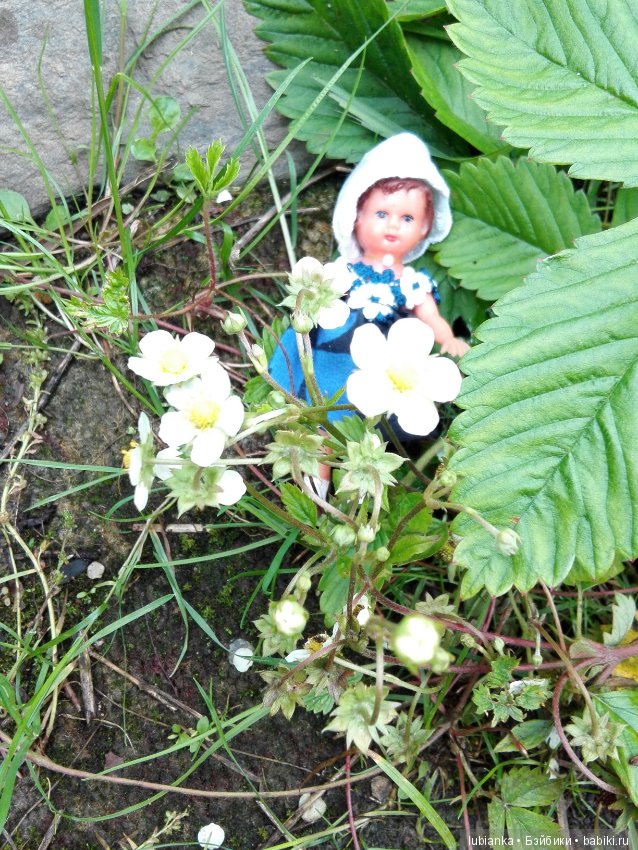 Несколько моих кукольно—цветочных зарисовок