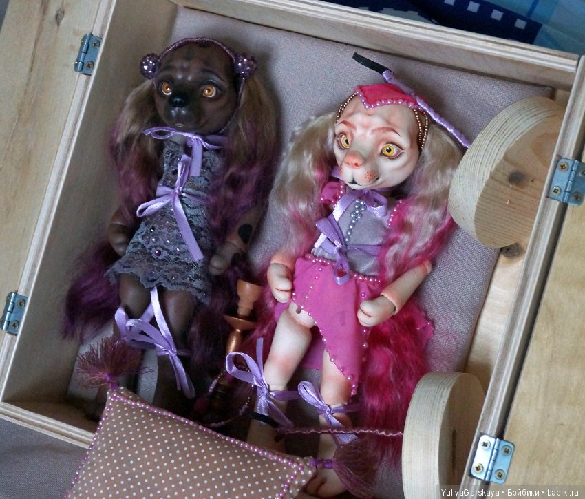 Собачки улетели в Филадельфию