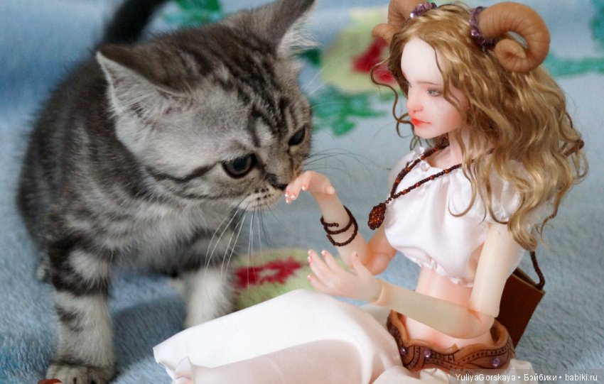 Авери нашла хозяйку — Домашние фото авторских кукол: личные коллекции