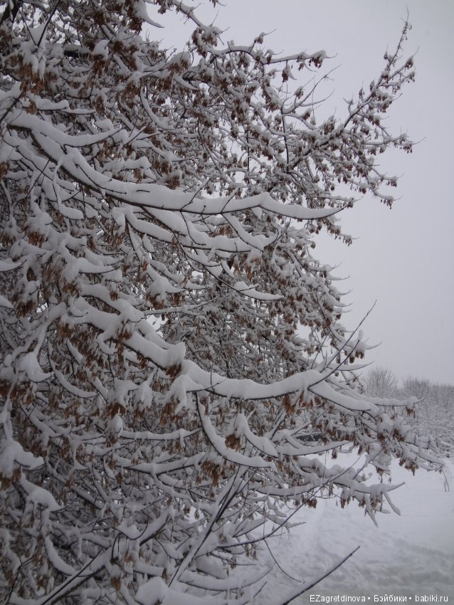 Красота, которой хочется делиться (фото 4)