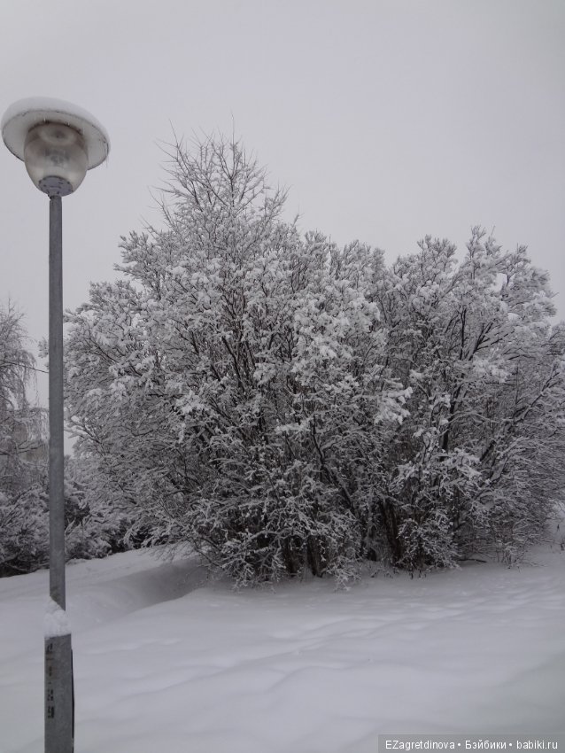 Красота, которой хочется делиться (фото 8)