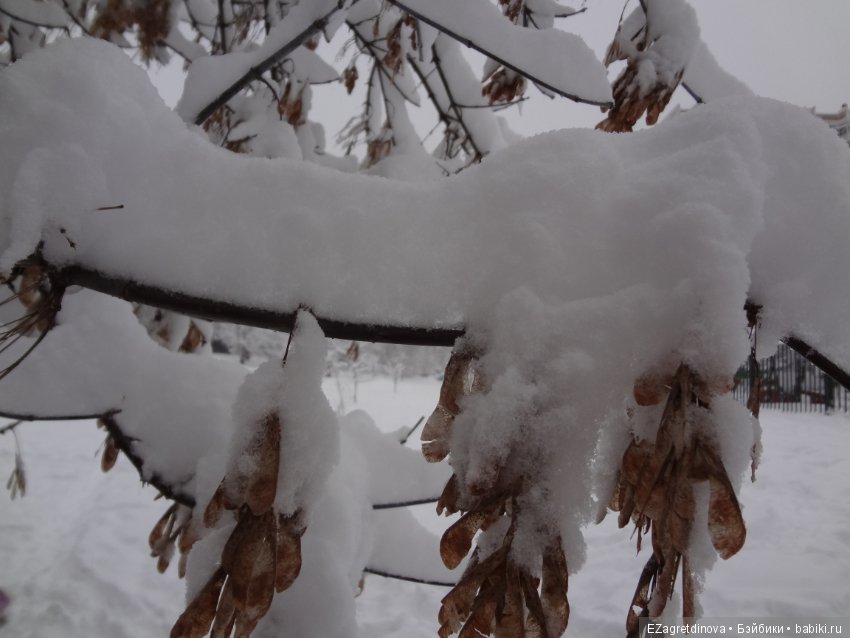 Красота, которой хочется делиться (фото 5)