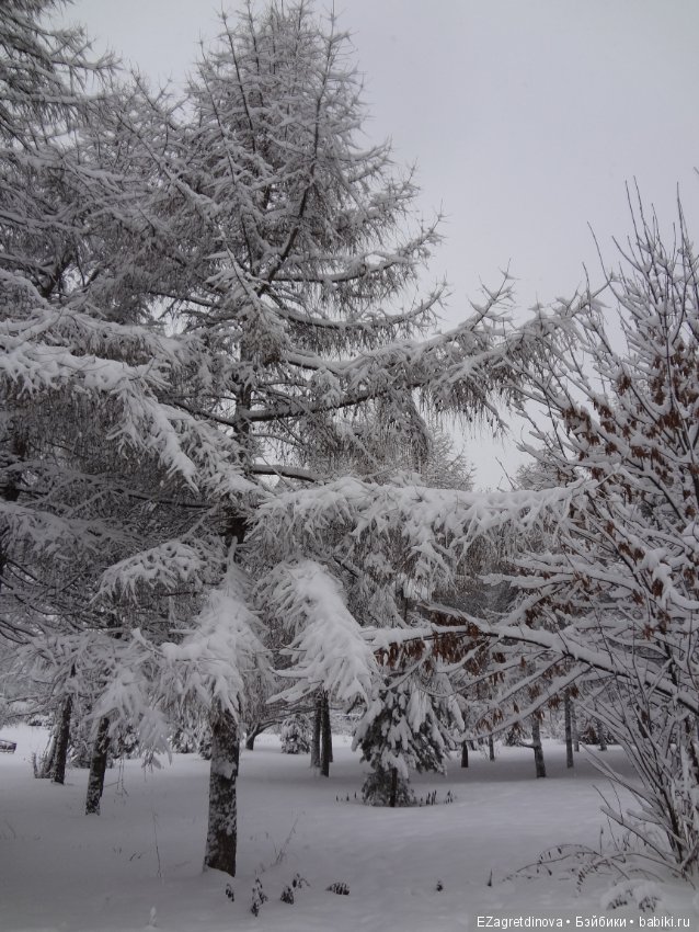 Красота, которой хочется делиться