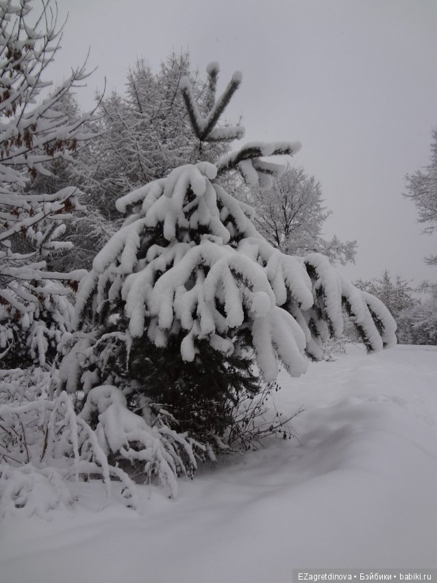 Красота, которой хочется делиться