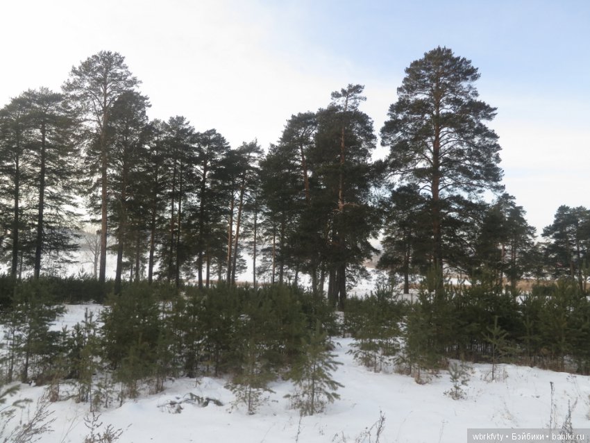Дыхание весны — Туризм и путешествия: фотоотчеты из поездок (фото 4)