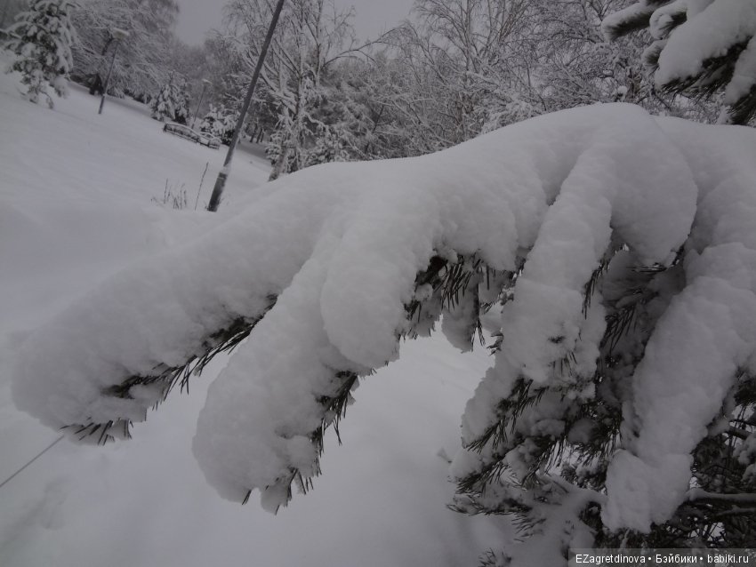Красота, которой хочется делиться