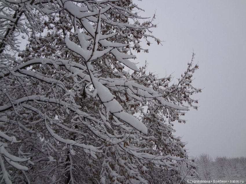 Красота, которой хочется делиться (фото 3)