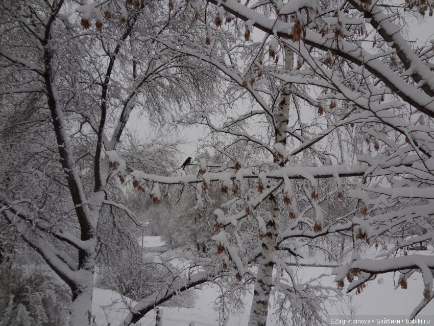 Красота, которой хочется делиться