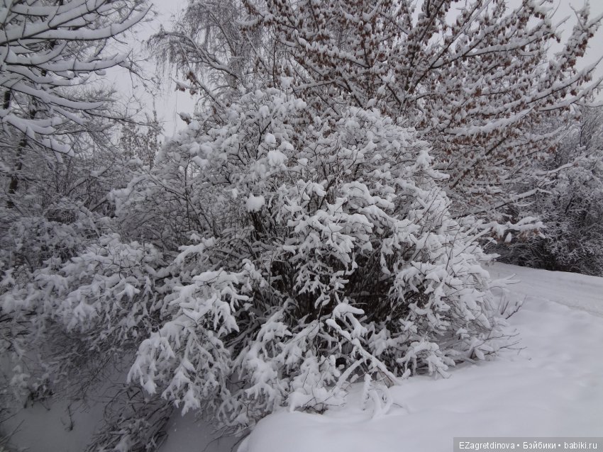 Красота, которой хочется делиться (фото 7)