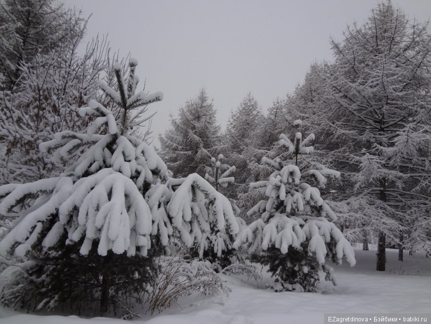 Красота, которой хочется делиться