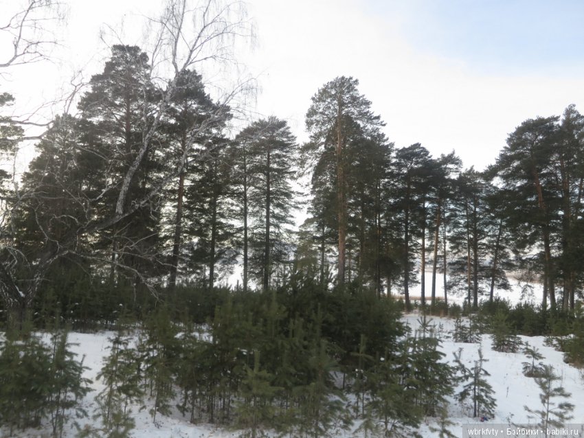 Дыхание весны — Туризм и путешествия: фотоотчеты из поездок (фото 2)