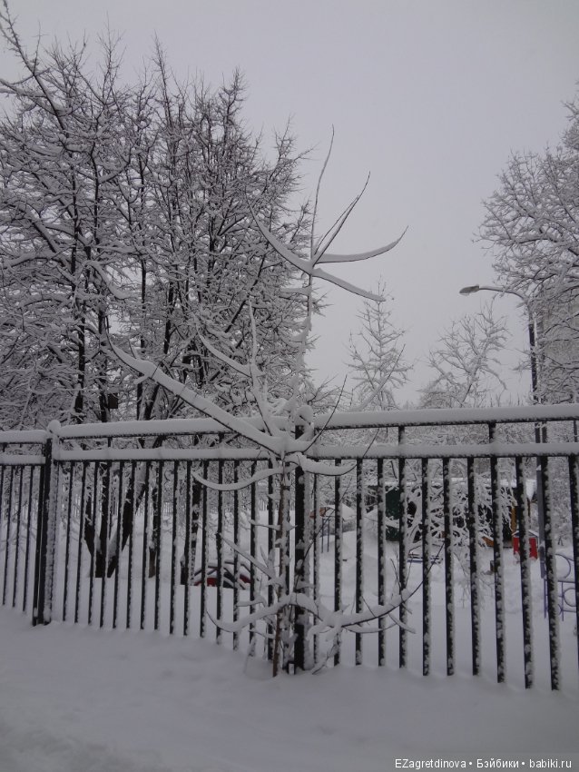 Красота, которой хочется делиться (фото 2)