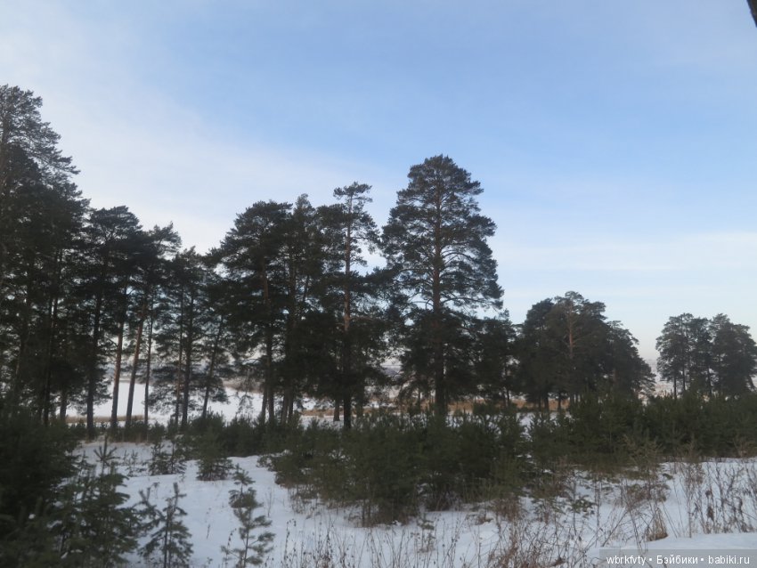 Дыхание весны — Туризм и путешествия: фотоотчеты из поездок (фото 3)