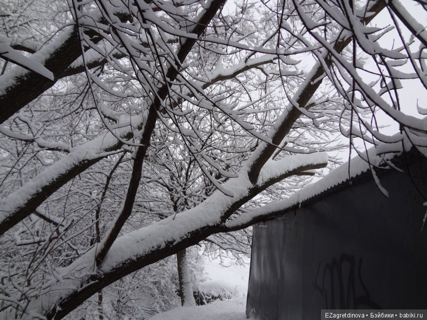 Красота, которой хочется делиться (фото 6)