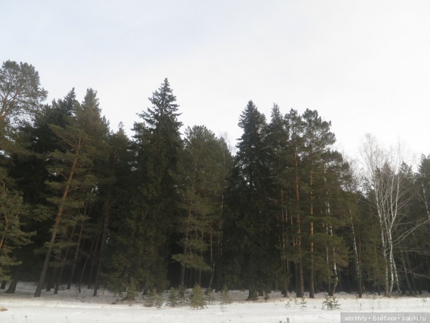 Дыхание весны — Туризм и путешествия: фотоотчеты из поездок (фото 6)