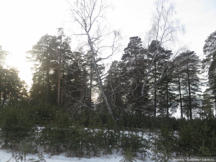 Дыхание весны — Туризм и путешествия: фотоотчеты из поездок