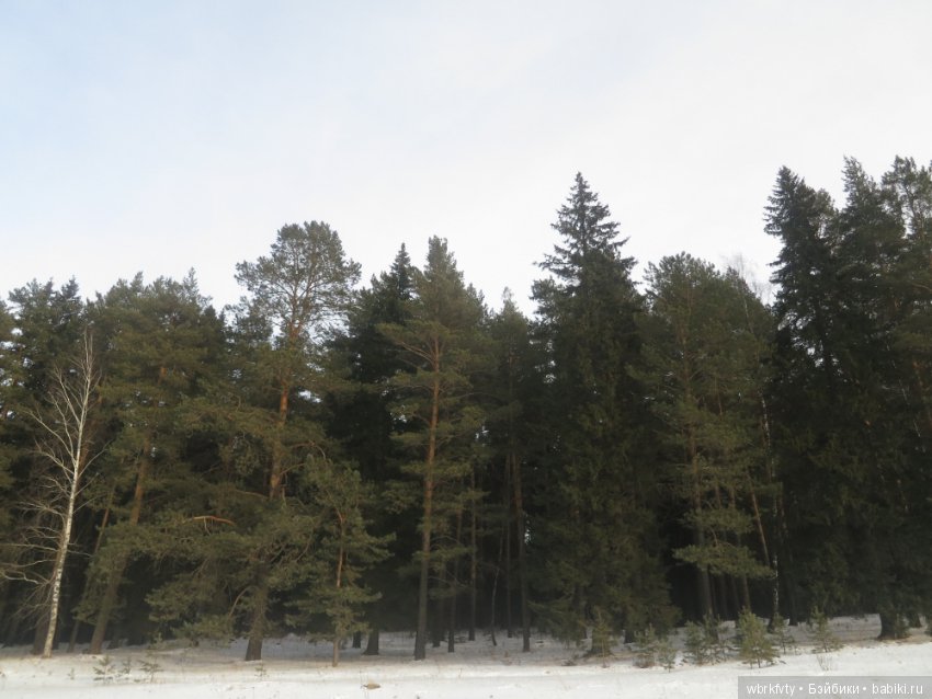 Дыхание весны — Туризм и путешествия: фотоотчеты из поездок (фото 5)