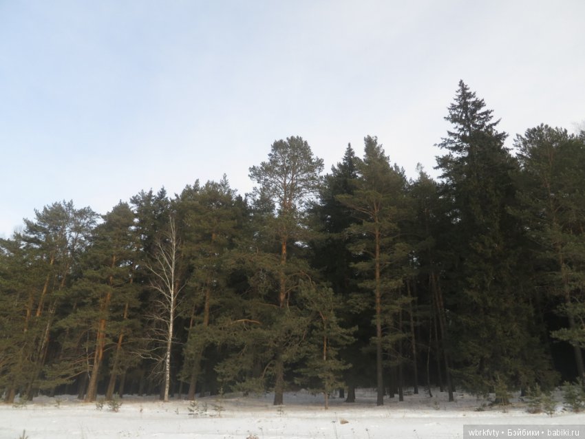 Дыхание весны — Туризм и путешествия: фотоотчеты из поездок (фото 7)