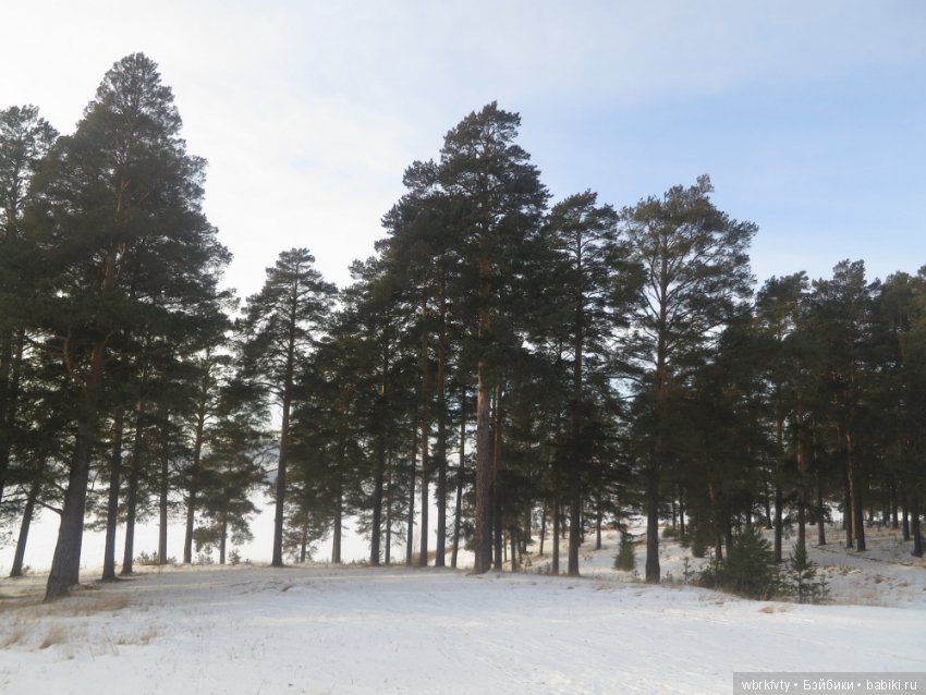 Дыхание весны — Туризм и путешествия: фотоотчеты из поездок (фото 9)