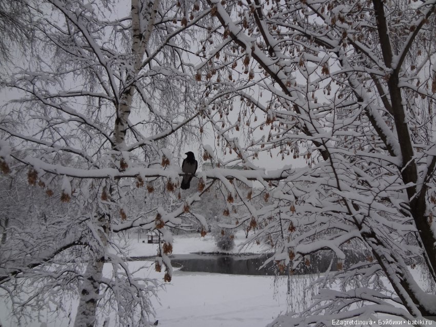 Красота, которой хочется делиться