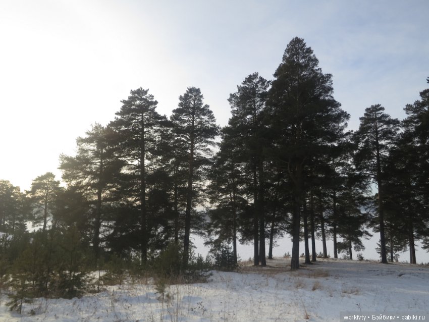 Дыхание весны — Туризм и путешествия: фотоотчеты из поездок (фото 8)