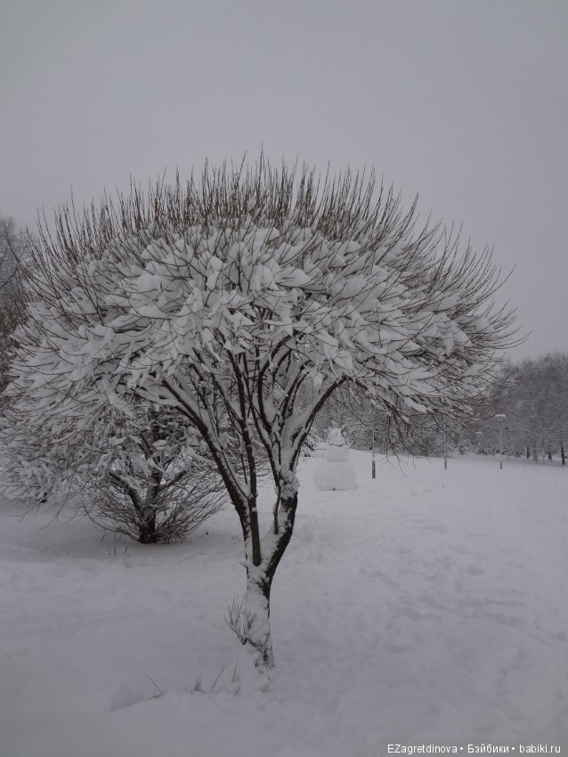 Красота, которой хочется делиться (фото 10)