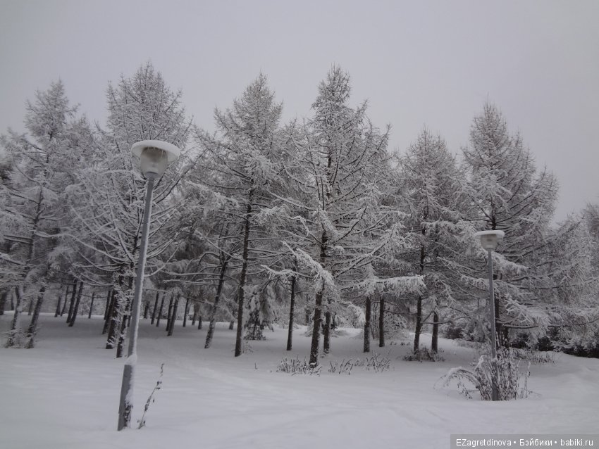 Красота, которой хочется делиться