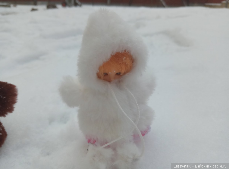 Как появляются детки зимой (фото 4)