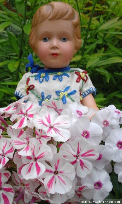 Немного летних красок в зимний день (фото 3)