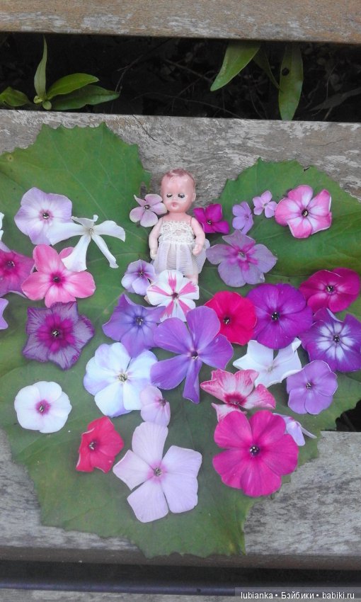 Немного летних красок в зимний день