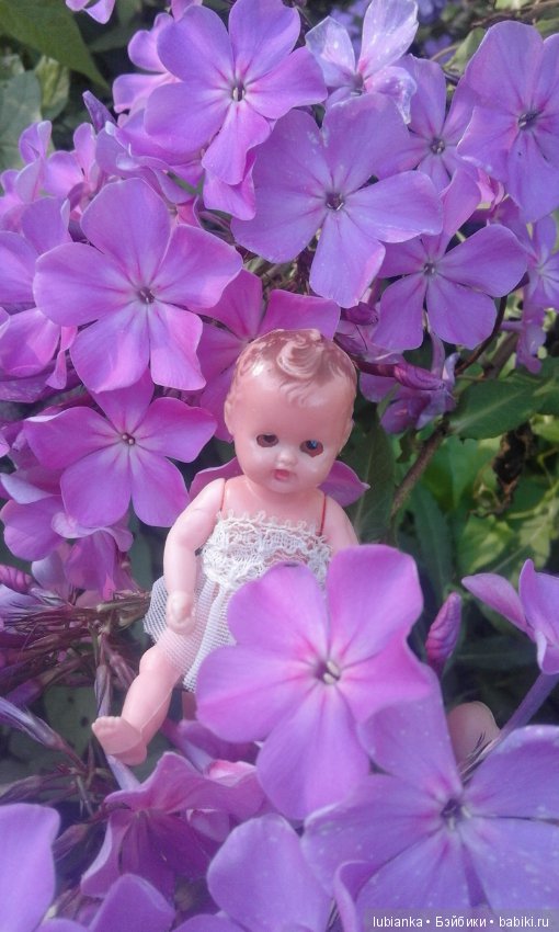 Немного летних красок в зимний день (фото 6)