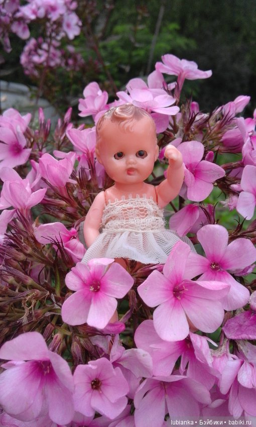 Немного летних красок в зимний день (фото 8)